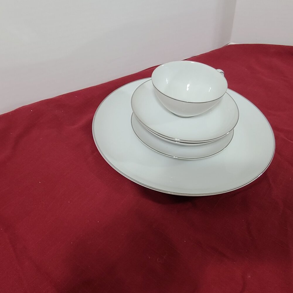 Style House Platinum Ring China 5 Piece Place Settings